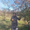 gulbahar_1.2.3