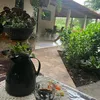 elianeamaro22