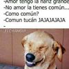 jeferssonvalderr2