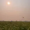 sleepyvoice_