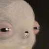 lilcit0
