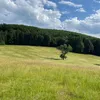 konsti__4