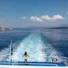 alafanni