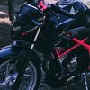 radit_al12