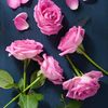 rosemary_70