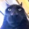 jyny__