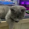 usertiktok98s