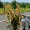bang.endy29