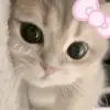 luv_ninii2