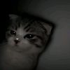 meiimeii93