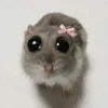 nanicanico