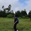 denzbagusss1