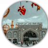 darain313
