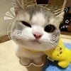 mooncake_099.mm
