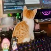 zan_ro