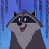 raccoonfables