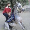 ahmed.fawzy463