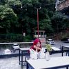 tsymsiartri