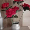 maryhellen074