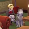 theaceattorneyfan