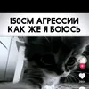 pengvinio123467890