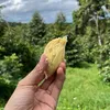 hi_ Tây Nguyên 🇻🇳