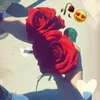 ahmed_ff043