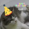 iinindrawan915