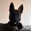 vader.gsd