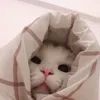 meercat_00