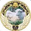 piro_76