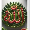 user8882295401512