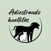Adiestrando huellitas 🐾