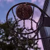 fuzzy_14_basket