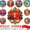 magicchessofficials