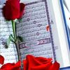 user49600400660106