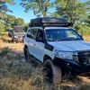 alwyncarstens71