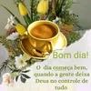 rosipereiragurg17