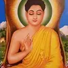 suddhamagar325