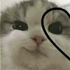 _mvds_sdvm_