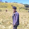 adidotnw