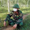 anhhoai1593