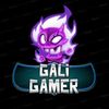 galigamer17