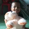 lanh.vi5