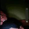 tsegu699