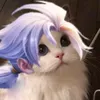 kothichnoinhieu2511