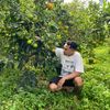 Holyfarm