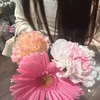 Yua