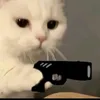 qwentafg