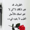 za.aljasmi